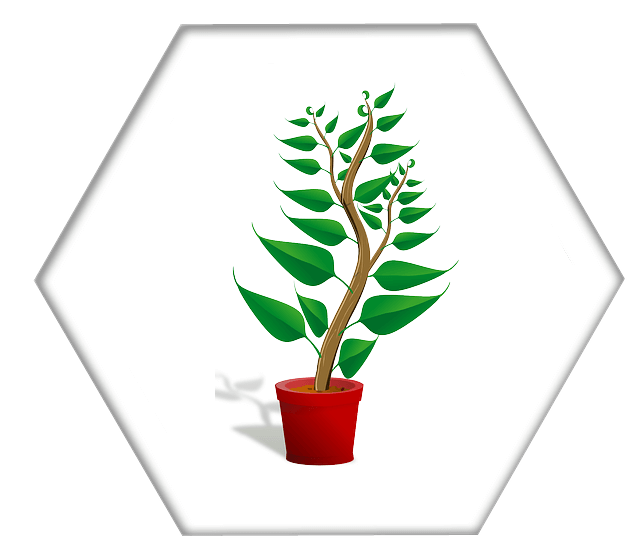 Image Title My Image